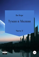 Ви Корс - Туман и Молния. Книга V