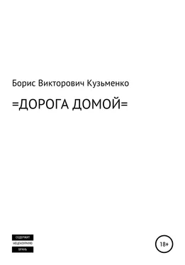 Борис Кузьменко Дорога Домой обложка книги