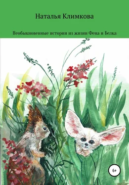 Наталья Климкова Необыкновенные истории из жизни Фена и Белка обложка книги