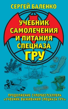 Сергей Баленко Учебник самолечения и питания Спецназа ГРУ обложка книги