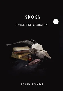 Вадим Тулупов Кровь обложка книги