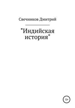 Дмитрий Свечников Индийская история обложка книги