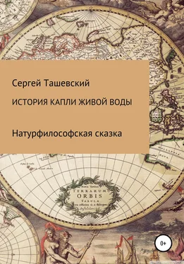 Сергей Ташевский История капли живой воды обложка книги