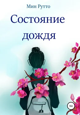 Мин Рутто Состояние дождя обложка книги