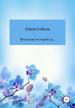 Олеся Соболь Несколько историй за… обложка книги