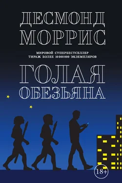 Десмонд Моррис Голая обезьяна (сборник) обложка книги