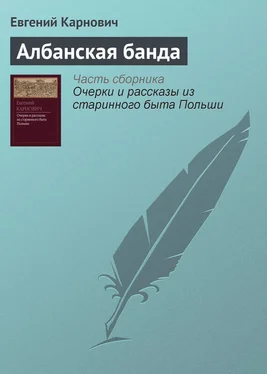 Евгений Карнович Албанская банда обложка книги