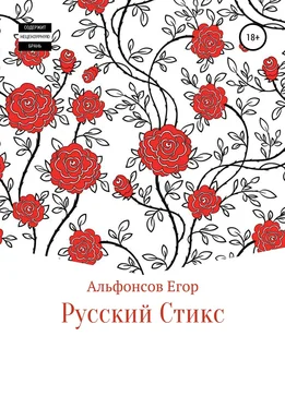 Егор Альфонсов Русский Стикс обложка книги