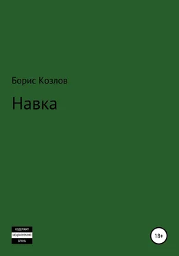 Борис Козлов Навка обложка книги