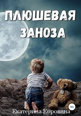 Екатерина Коровина Плюшевая заноза обложка книги