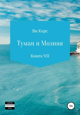 Ви Корс Туман и Молния. Книга VII обложка книги