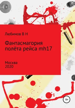 Владимир Любимов Фантасмагория полёта рейса mh17 обложка книги