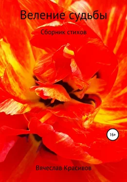 Вячеслав Красивов Веление судьбы обложка книги