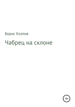 Борис Козлов Чабрец на склоне обложка книги