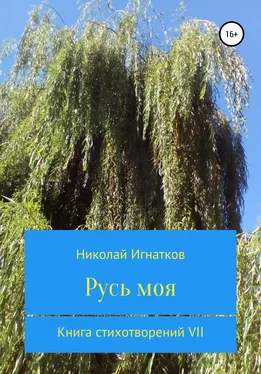 Николай Игнатков Русь моя. Книга стихотворений VII обложка книги