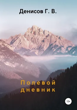 Геннадий Денисов Полевой дневник обложка книги