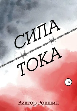 Виктор Ракшин Сила тока обложка книги