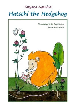 Tatyana Aganina Hatschi the Hedgehog обложка книги