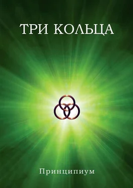 Принципиум Три кольца обложка книги