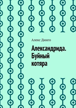 Алекс Динго Александрида. Буйный котяра обложка книги