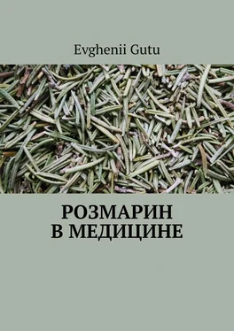 Evghenii Gutu Розмарин в медицине обложка книги