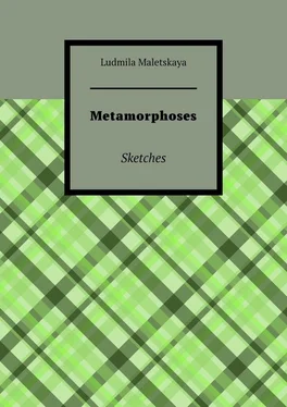 Ludmila Maletskaya Metamorphoses. Sketches обложка книги