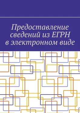 А. Шадура Предоставление сведений из ЕГРН в электронном виде обложка книги