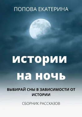 Попова Екатерина Истории на ночь обложка книги