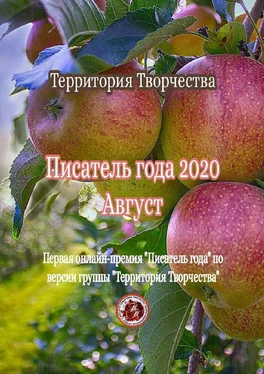 Валентина Спирина Писатель года – 2020. Август. Первая онлайн-премия «Писатель года» по версии группы «Территория Творчества» обложка книги