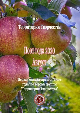 Валентина Спирина Поэт года – 2020. Август. Первая онлайн-премия «Поэт года» по версии группы «Территория Творчества» обложка книги