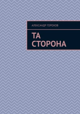 Александр Горохов Та сторона обложка книги