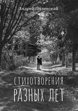 Андрей Заленский Стихотворения разных лет обложка книги