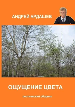 Андрей Ардашев Ощущение цвета. Поэтический сборник обложка книги