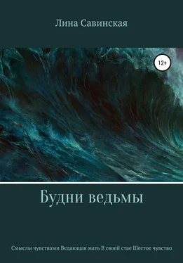 Лина Савинская Будни ведьмы обложка книги