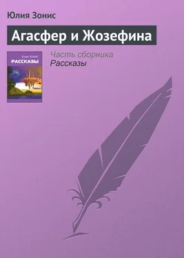 Юлия Зонис Агасфер и Жозефина обложка книги