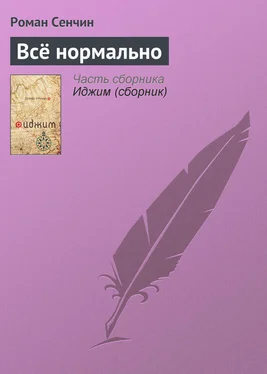 Роман Сенчин Всё нормально обложка книги