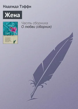 Надежда Тэффи Жена обложка книги