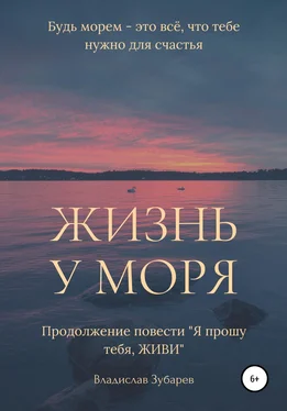 Владислав Зубарев Жизнь у моря обложка книги