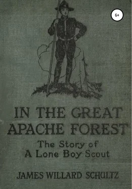 Джеймс Уиллард Шульц В Великом лесу апачей обложка книги