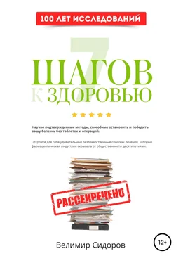 Велимир Сидоров 7 Шагов к Здоровью: ускоренная система абсолютного здоровья обложка книги