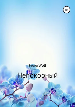 Алексей FreierWolf Непокорный обложка книги
