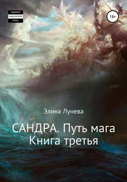 Элина Лунева Сандра. Путь мага. Книга третья обложка книги