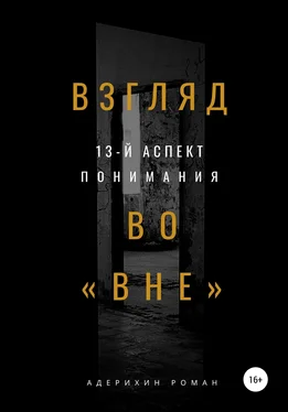 Роман Адерихин Взгляд во вне. 13-й аспект понимания обложка книги