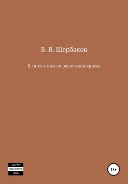 Владлен Щербаков И снится нам не рокот космодрома обложка книги