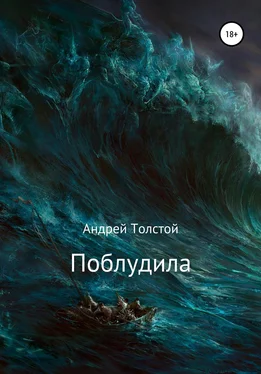 Андрей Толстой Поблудила обложка книги