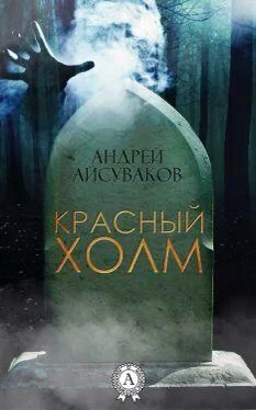 Андрей Айсуваков Красный холм обложка книги