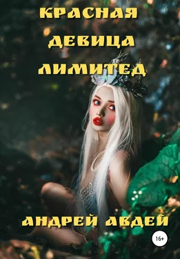 Андрей Авдей Красная девица лимитед обложка книги