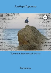 Альберт Горошко - Хроники Авачинской бухты