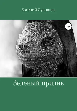 Евгений Луковцев Зеленый прилив обложка книги