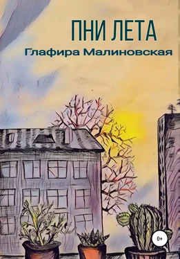 Глафира Малиновская Пни лета обложка книги